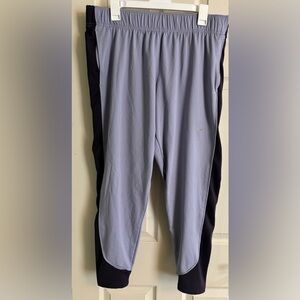 Nike Therma-FIT Essential Women’s Running Jogger Pants Light Purple Grey